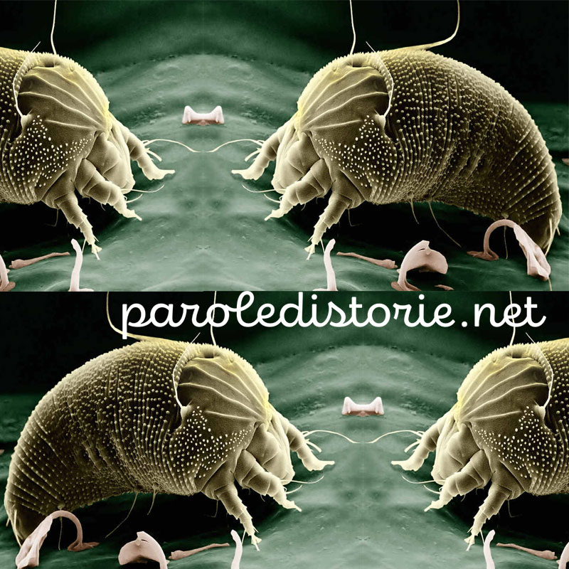 La sfinge. Un racconto di Edgar Allan Poe (+16)