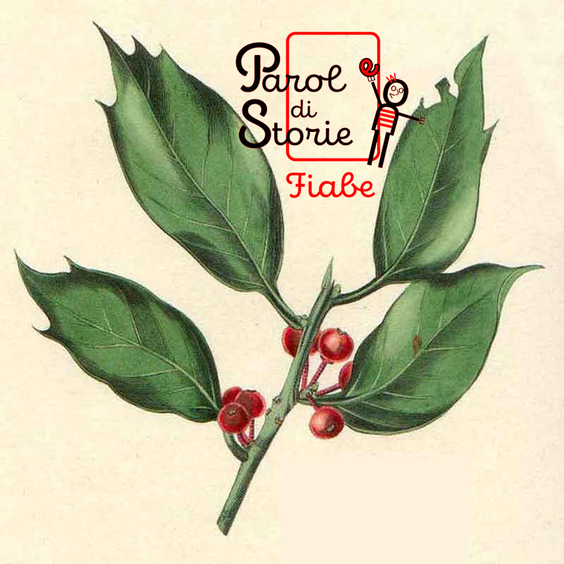 Il mistero dell’agrifoglio e il canto degli Angeli nella notte di Natale. Fiaba